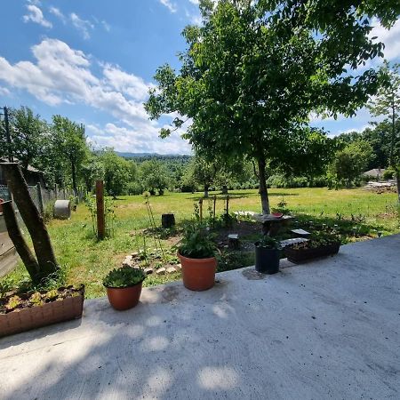 Casa Primitoare In Inima Naturii Si Padurii Rasca (Suceava) Exterior foto