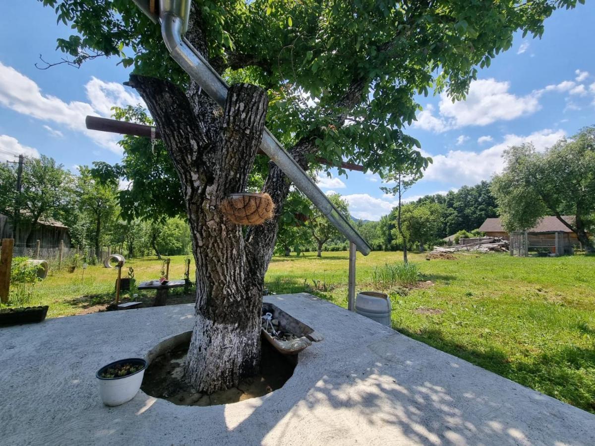Casa Primitoare In Inima Naturii Si Padurii Rasca (Suceava) Exterior foto