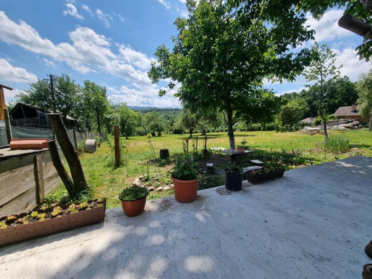 Casa Primitoare In Inima Naturii Si Padurii Rasca (Suceava) Exterior foto