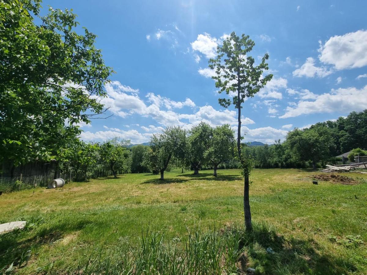 Casa Primitoare In Inima Naturii Si Padurii Rasca (Suceava) Exterior foto