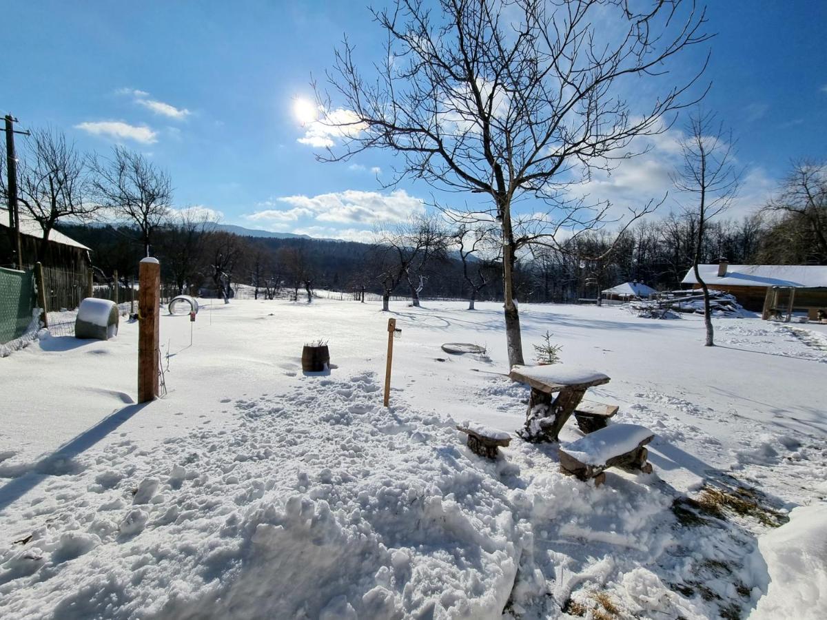 Casa Primitoare In Inima Naturii Si Padurii Rasca (Suceava) Exterior foto